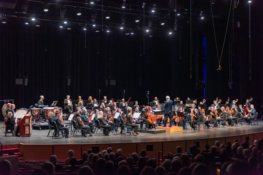 Undertale - Undertale Online Orchestra