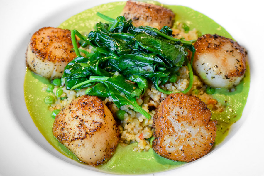 Green Valley Grill Scallops